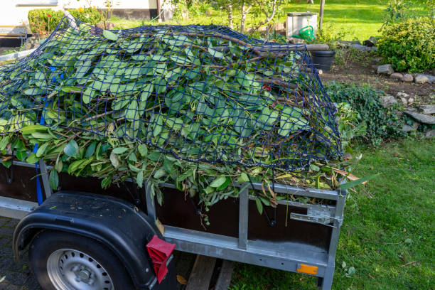 Best Furniture Removal  in Vincent, CA